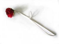 Red Rosebud Brooch